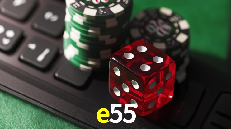 Security Systems e55