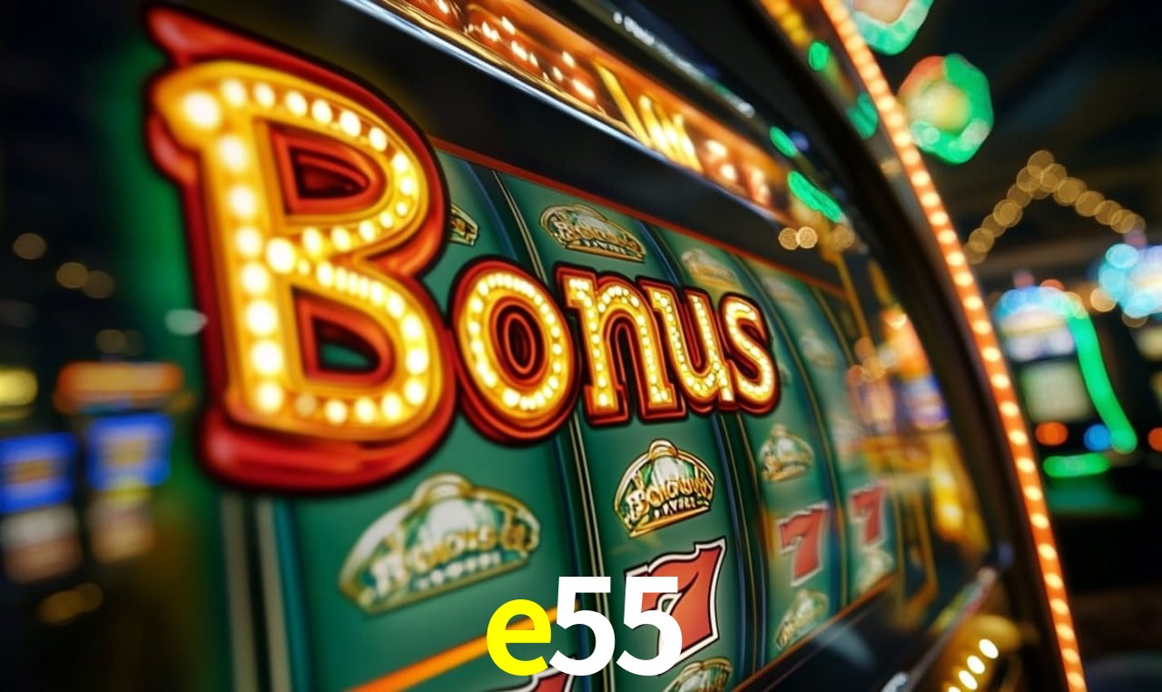 Plataforma e55 - Segurança SSL 256-bit